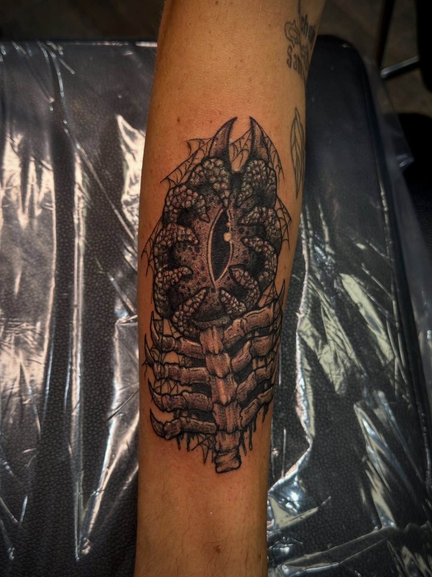 Cover-Ups & Reworks